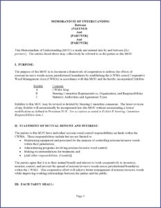 Free Memorandum Of Understanding Template Word Document
