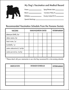 Free Puppy Shot Record Template