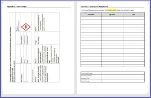 Hazcom Program Template
