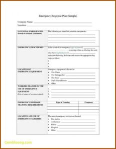 Incident Management Plan Examples