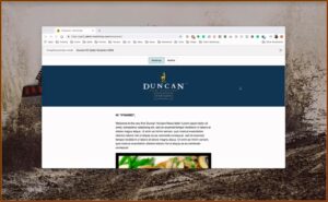 Mailchimp Drag And Drop Template