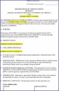 Memorandum Of Understanding Template Free