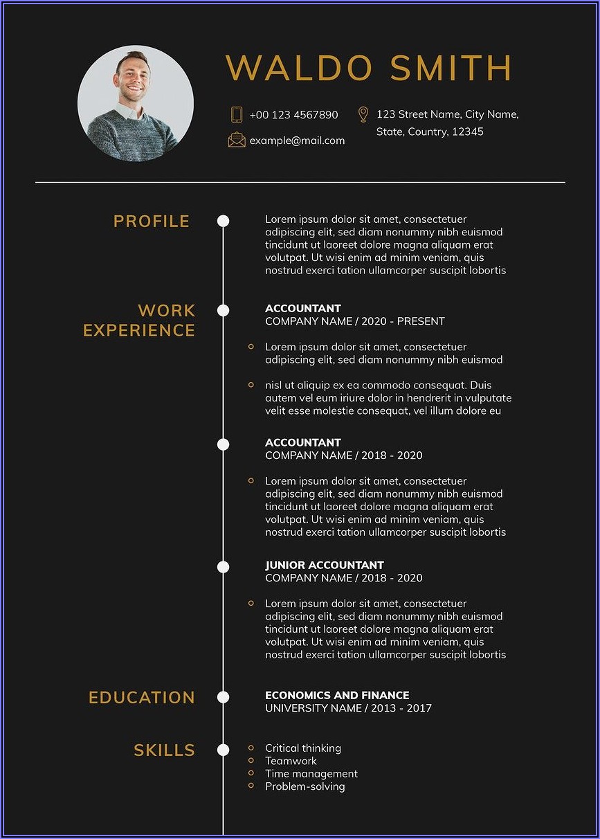 Professional Business Resume Template Free