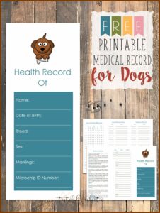 Puppy Shot Record Forms