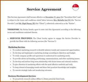 Service Contract Terms And Conditions Template