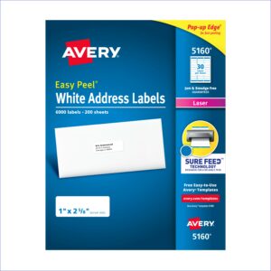 Staples White Return Address Labels Template 5267