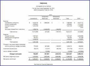 Trust Financial Statements Examples