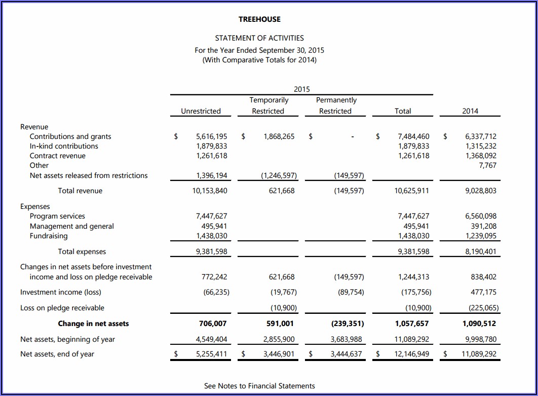 Trust Financial Statements Examples