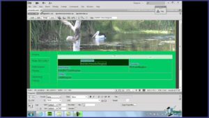 Website Templates Dreamweaver Cs6